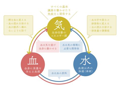 陰水 意味|陰水 中医学用語解説